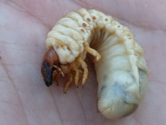 2012-06-17 21:43:35