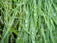 2011-11-07 18:02:55